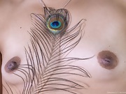 Margaret Li enjoys her sensual peacock feather - picture #39